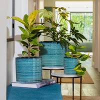 Suri Cylinder Pot