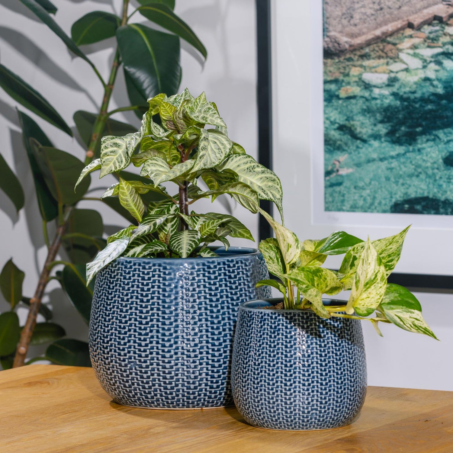 Coastal Round Pot