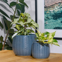 Coastal Round Pot