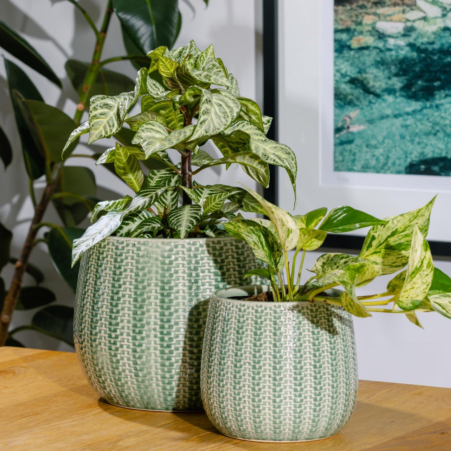 Coastal Round Pot
