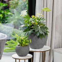 Coral Urn Pot