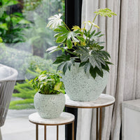 Coral Urn Pot