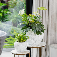 Coral Urn Pot