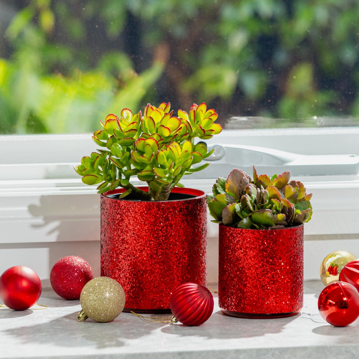Stellar Festive Cylinder Pot