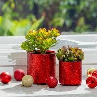 Stellar Festive Cylinder Pot