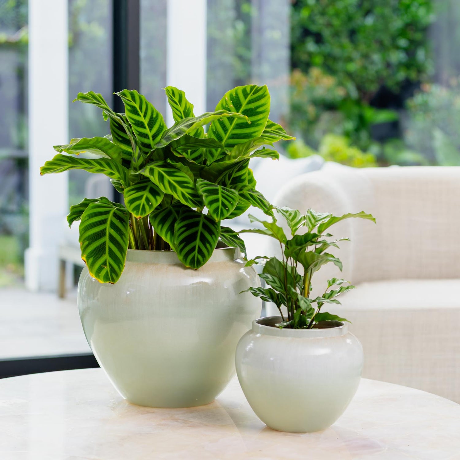 Cloud Egg Pot
