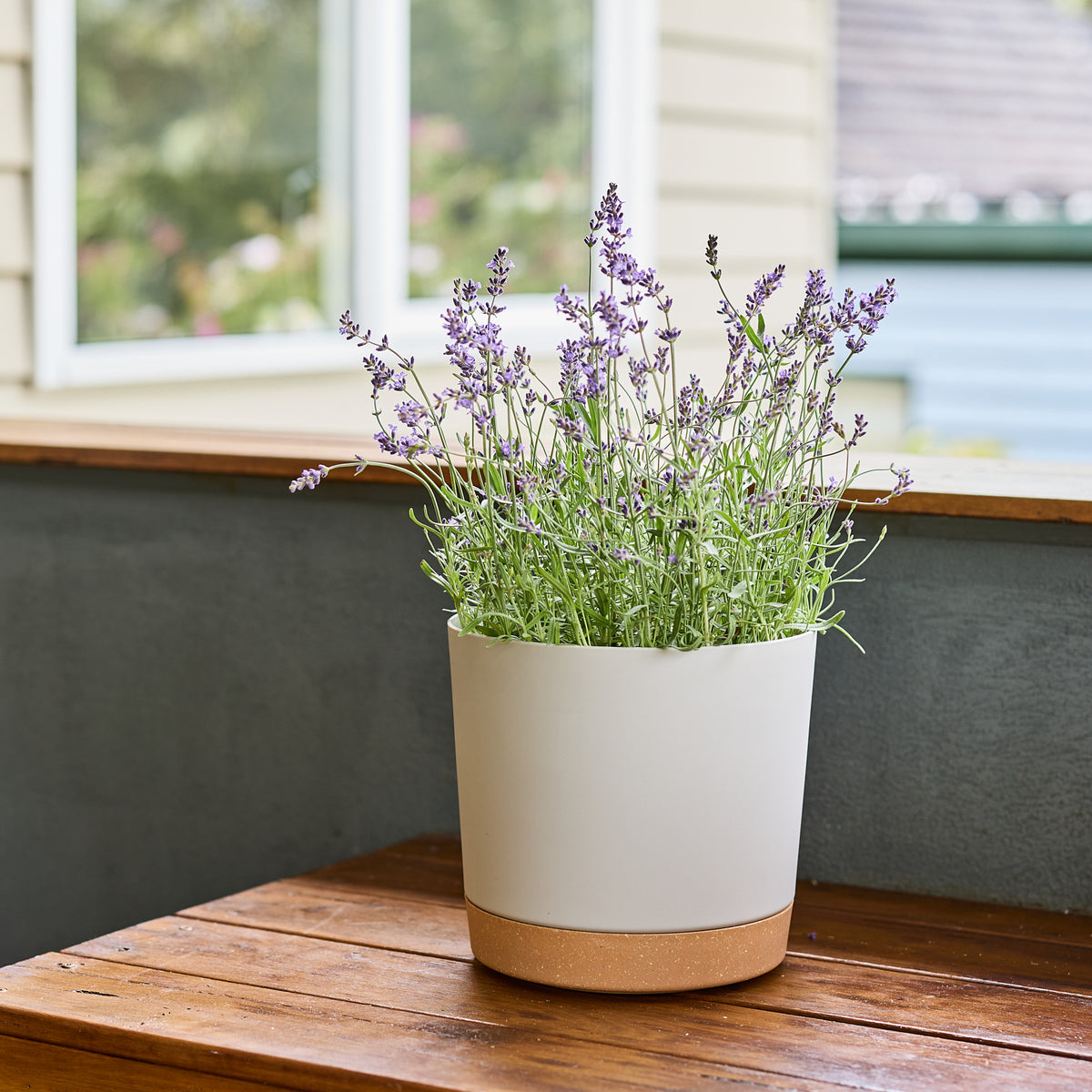 capri plant pots Capri Cylinder Pot – Northcote Pottery