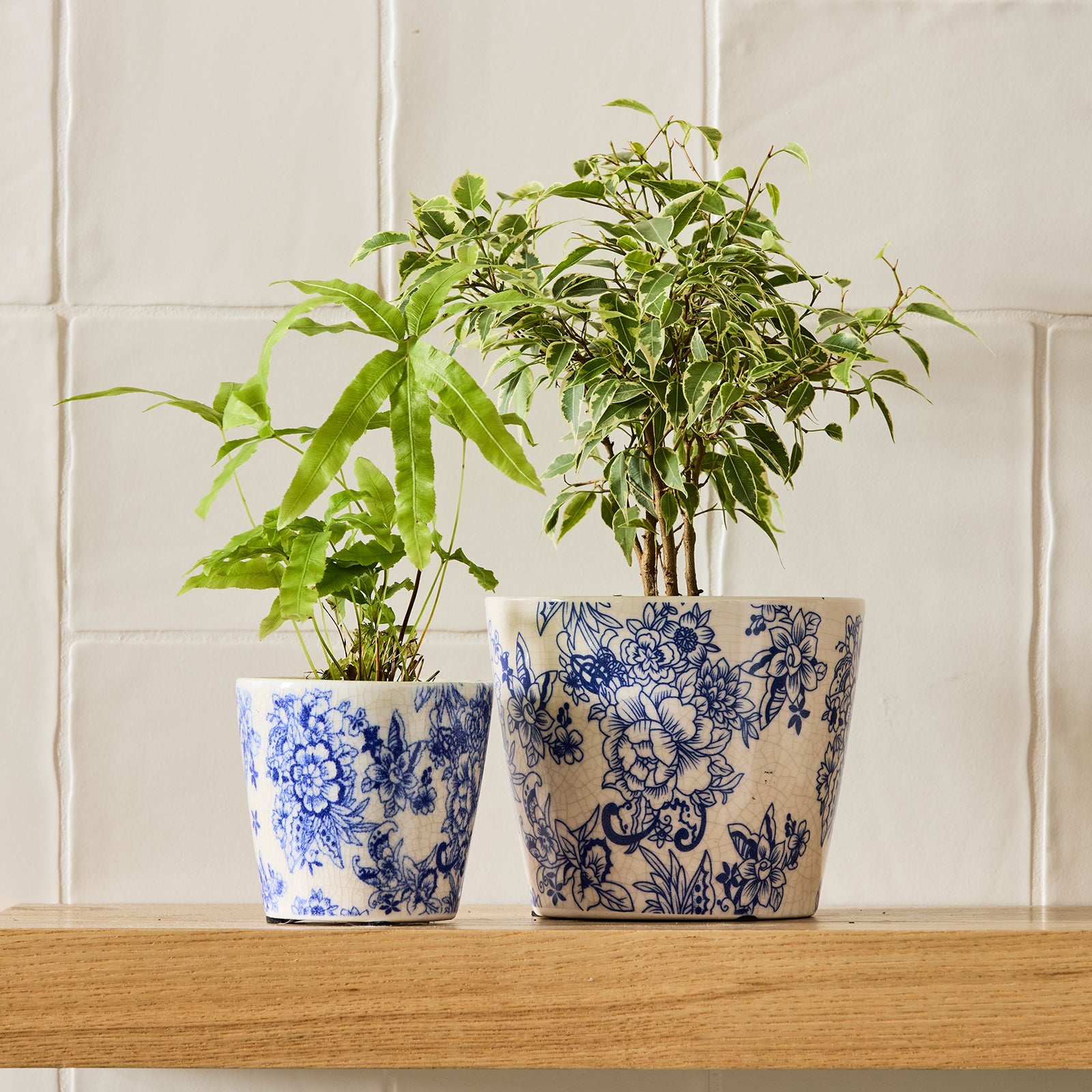 Imperial Cone Pot – Northcote Pottery