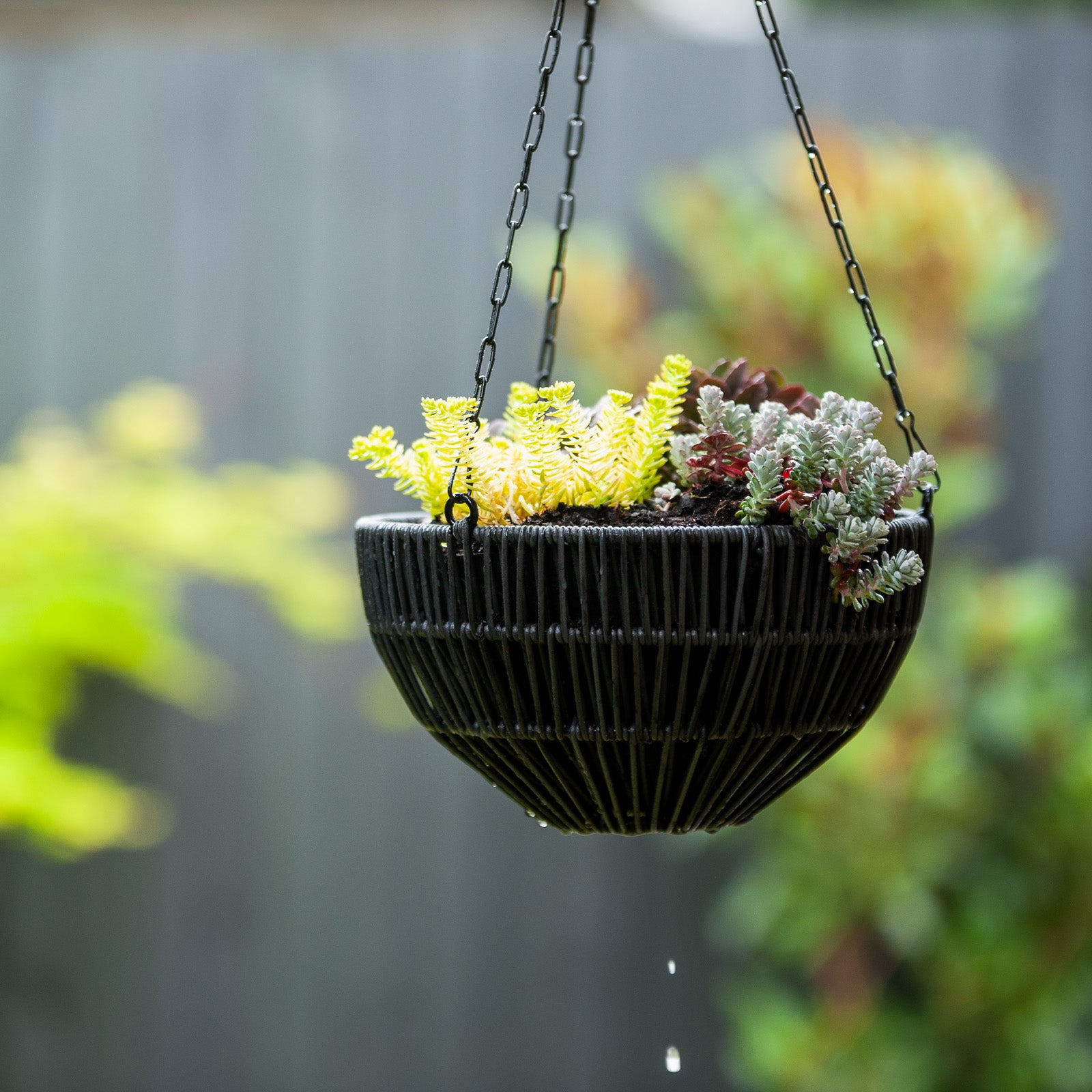 rattan hanging plant Rattan Hanging Basket – Northcote Pottery
