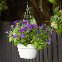 Self-Watering Hanging Basket