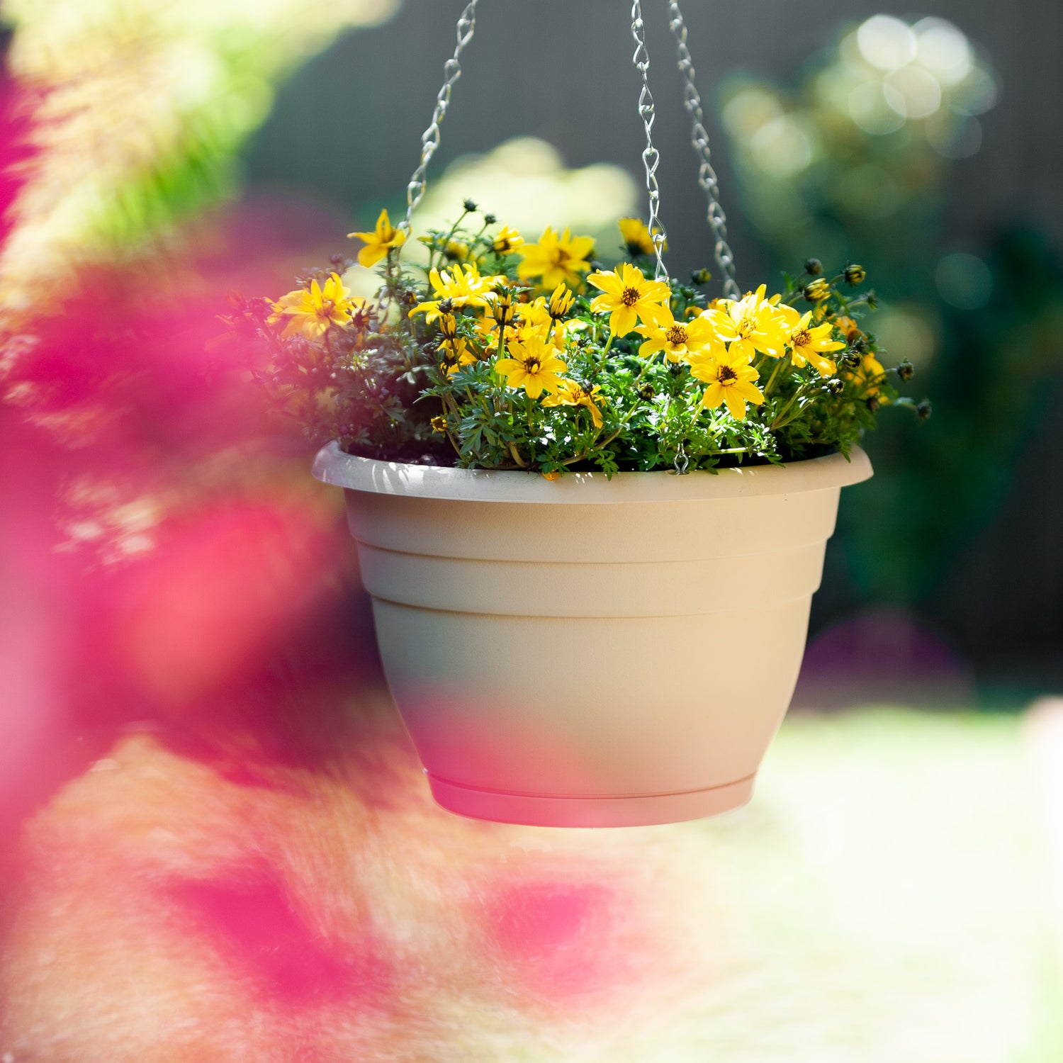 Villa Plastic Hanging Basket