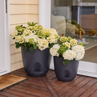 Everly Self-Watering Egg Pot
