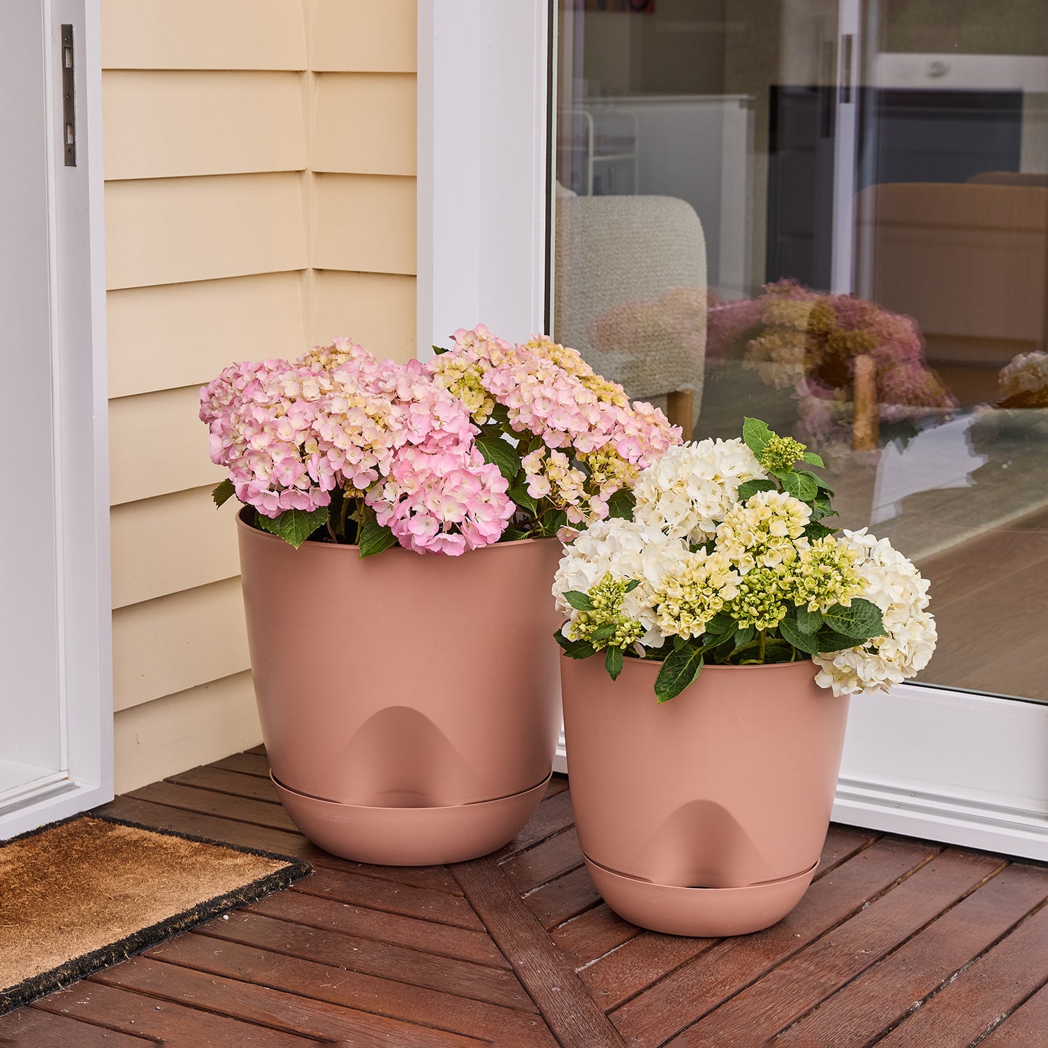 Everly Self-Watering Egg Pot