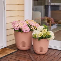 Everly Self-Watering Egg Pot