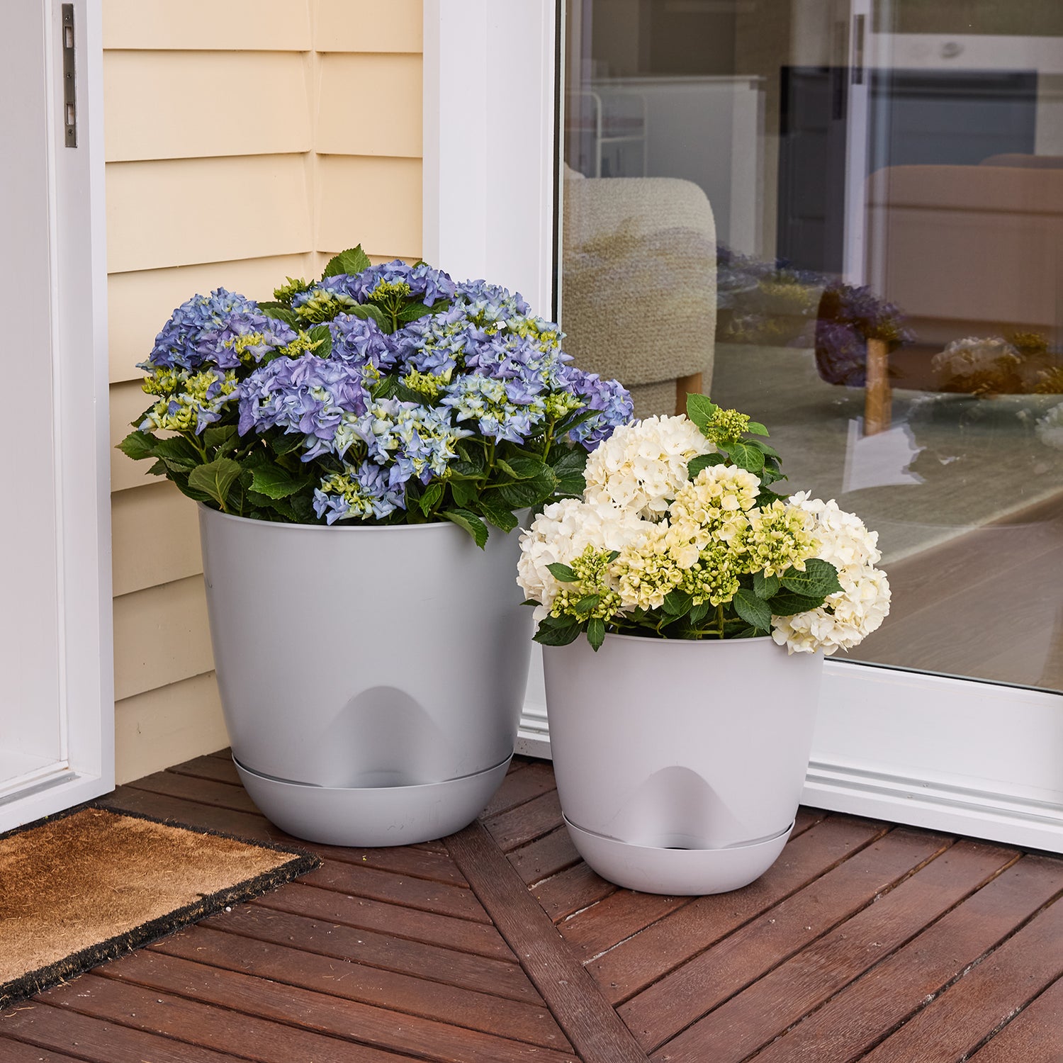 Everly Self-Watering Egg Pot