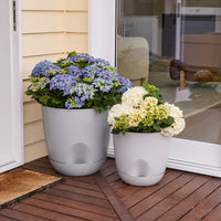 Everly Self-Watering Egg Pot