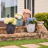Everly Self-Watering Egg Pot