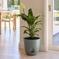 Everly Self-Watering Egg Pot