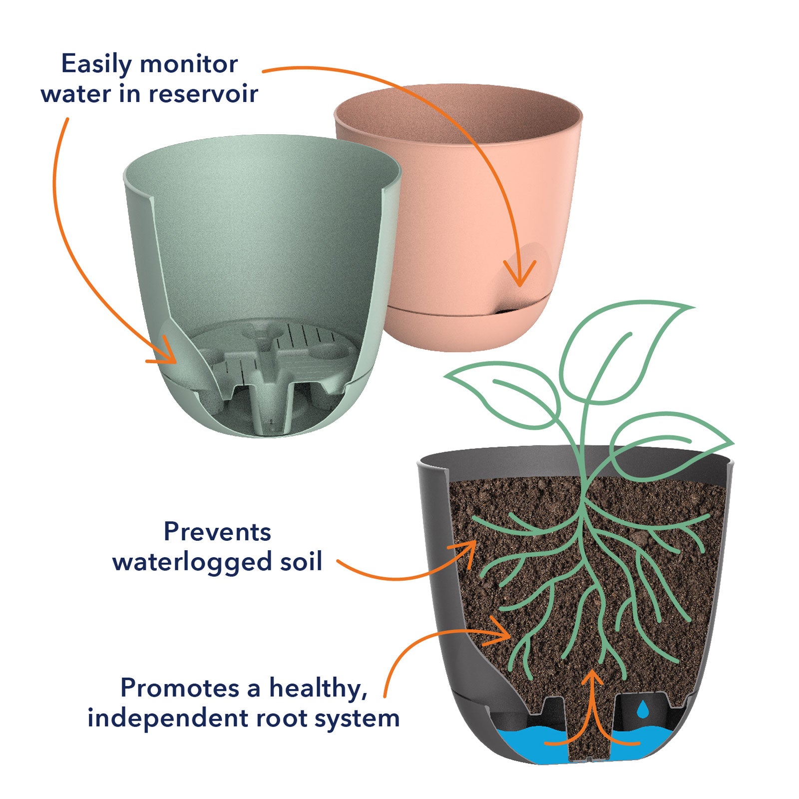 plant pot meaning Everly Self-Watering Egg Pot – Northcote Pottery
