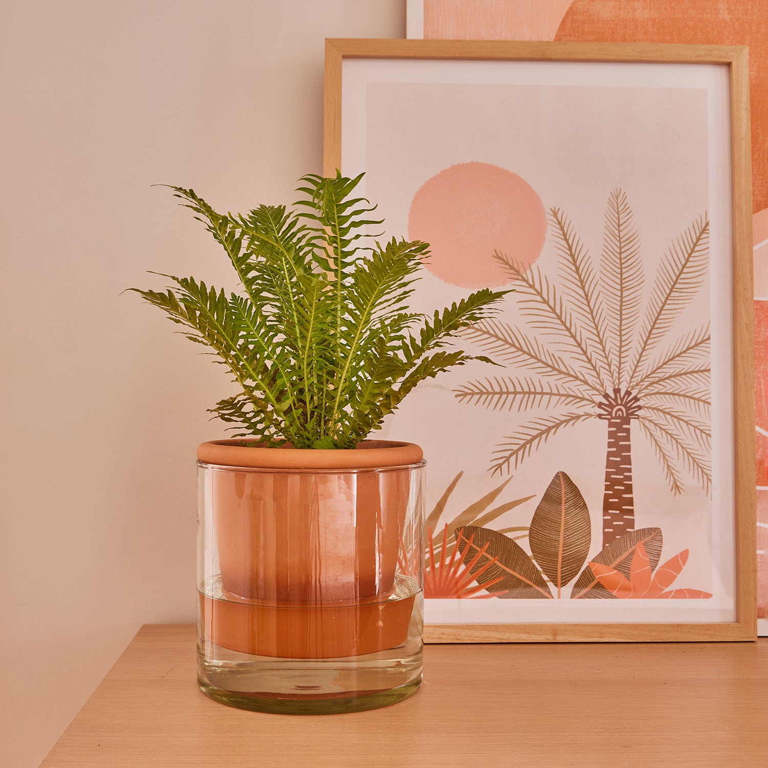 Koda Self-Watering Pot