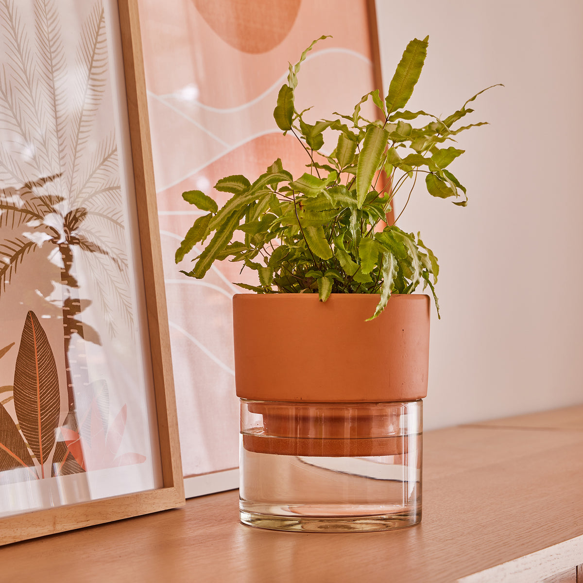 eq3 plant pots Auden Self-Watering Pot – Northcote Pottery