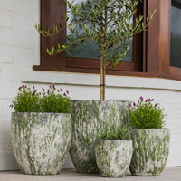 Montague Egg Pot