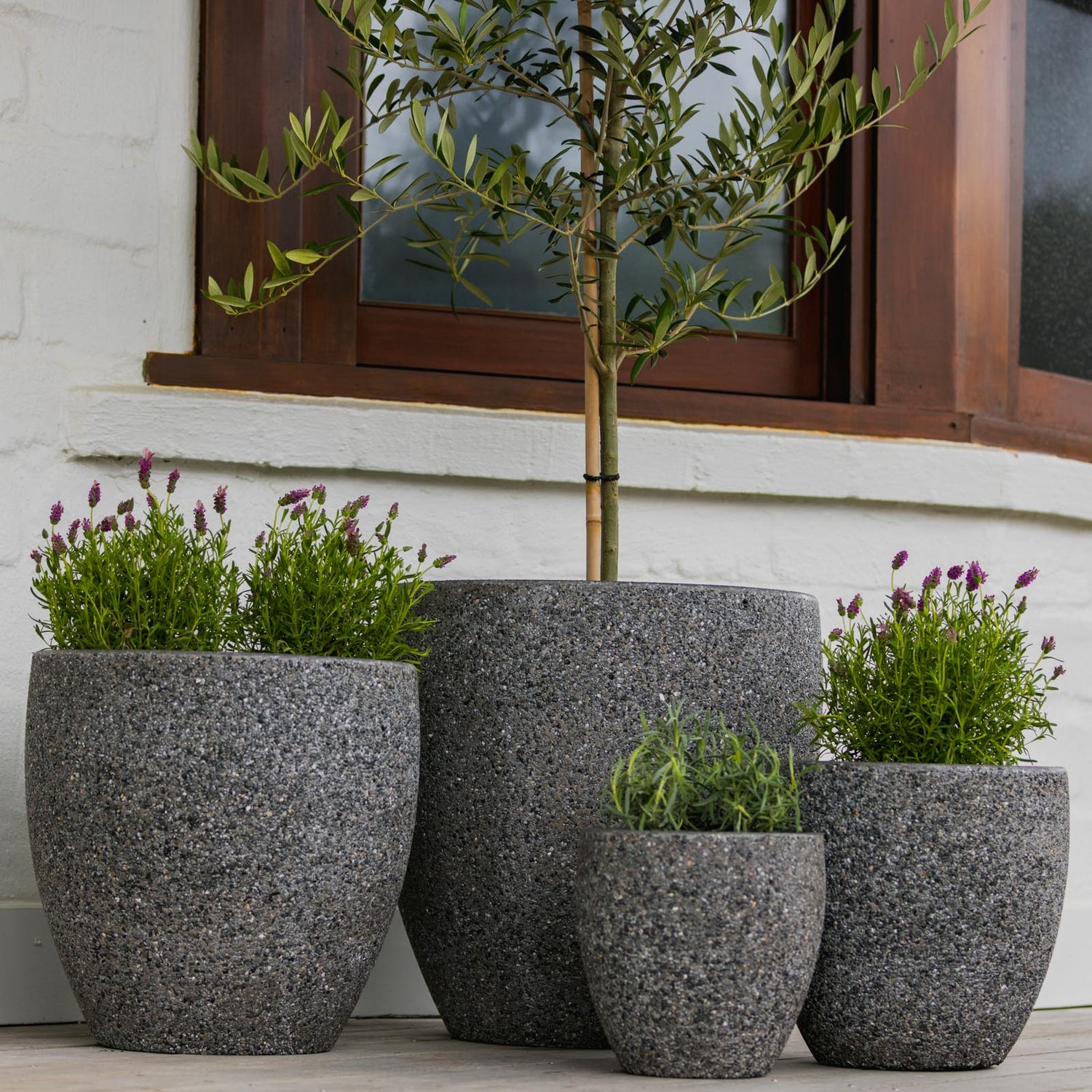 Montague Egg Pot