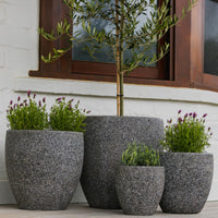 Montague Egg Pot
