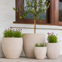 Montague Egg Pot