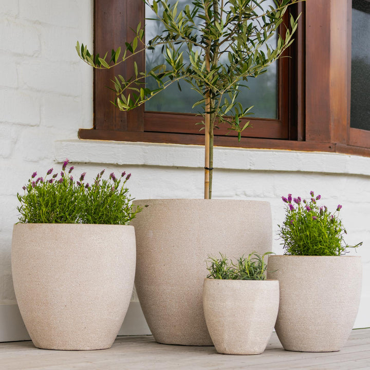 Montague Egg Pot