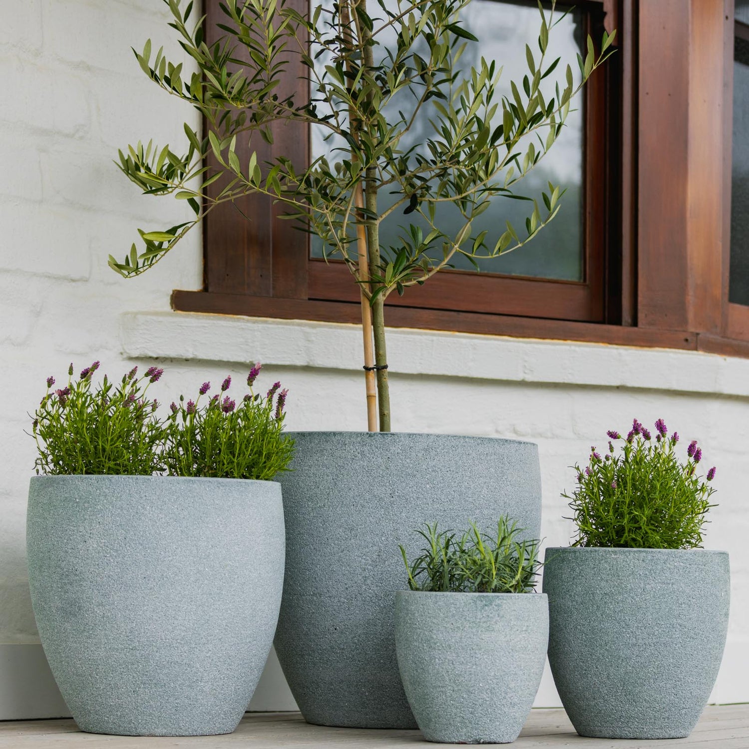 Montague Egg Pot