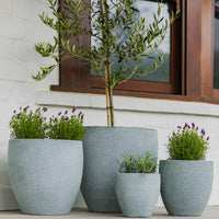 Montague Egg Pot