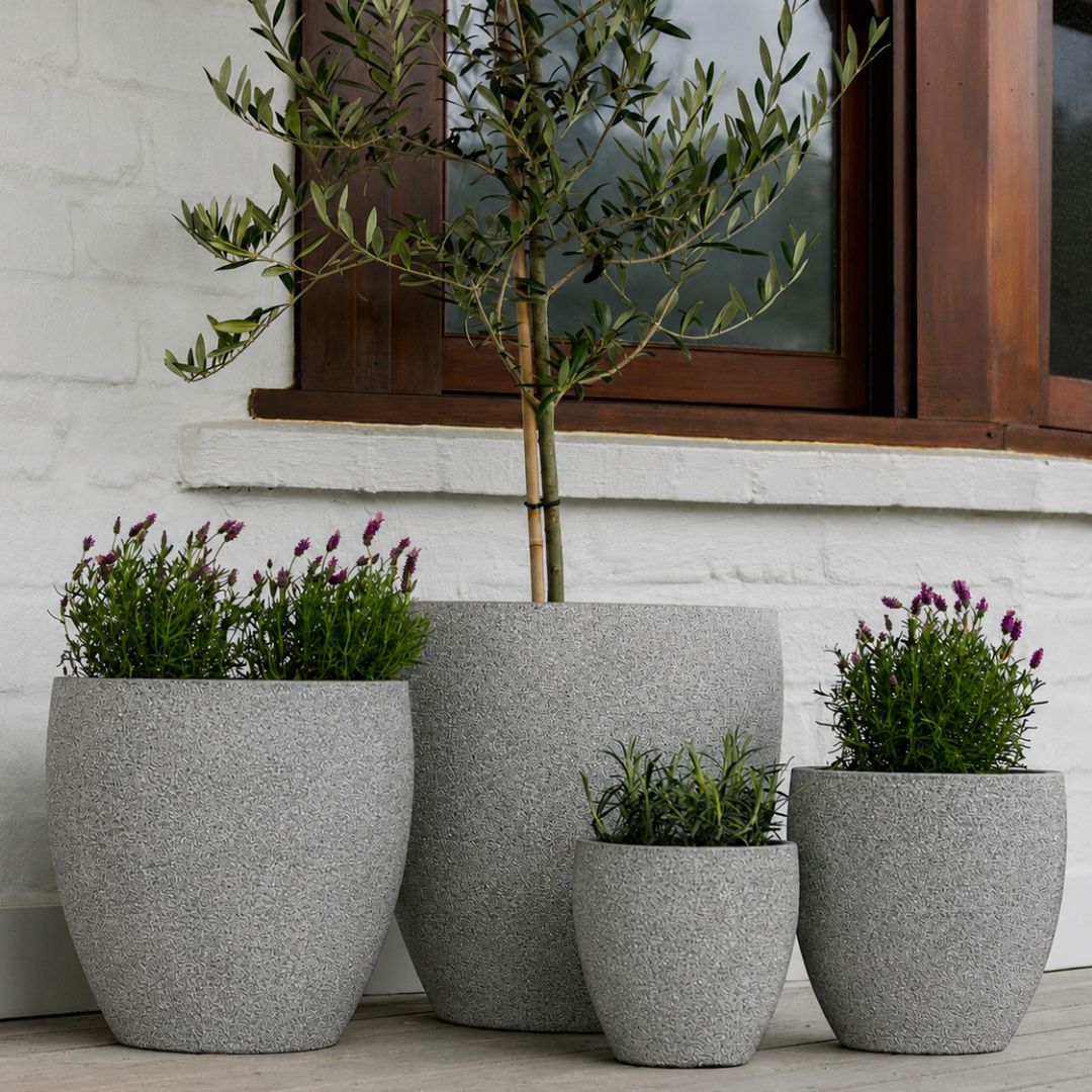 Montague Egg Pot