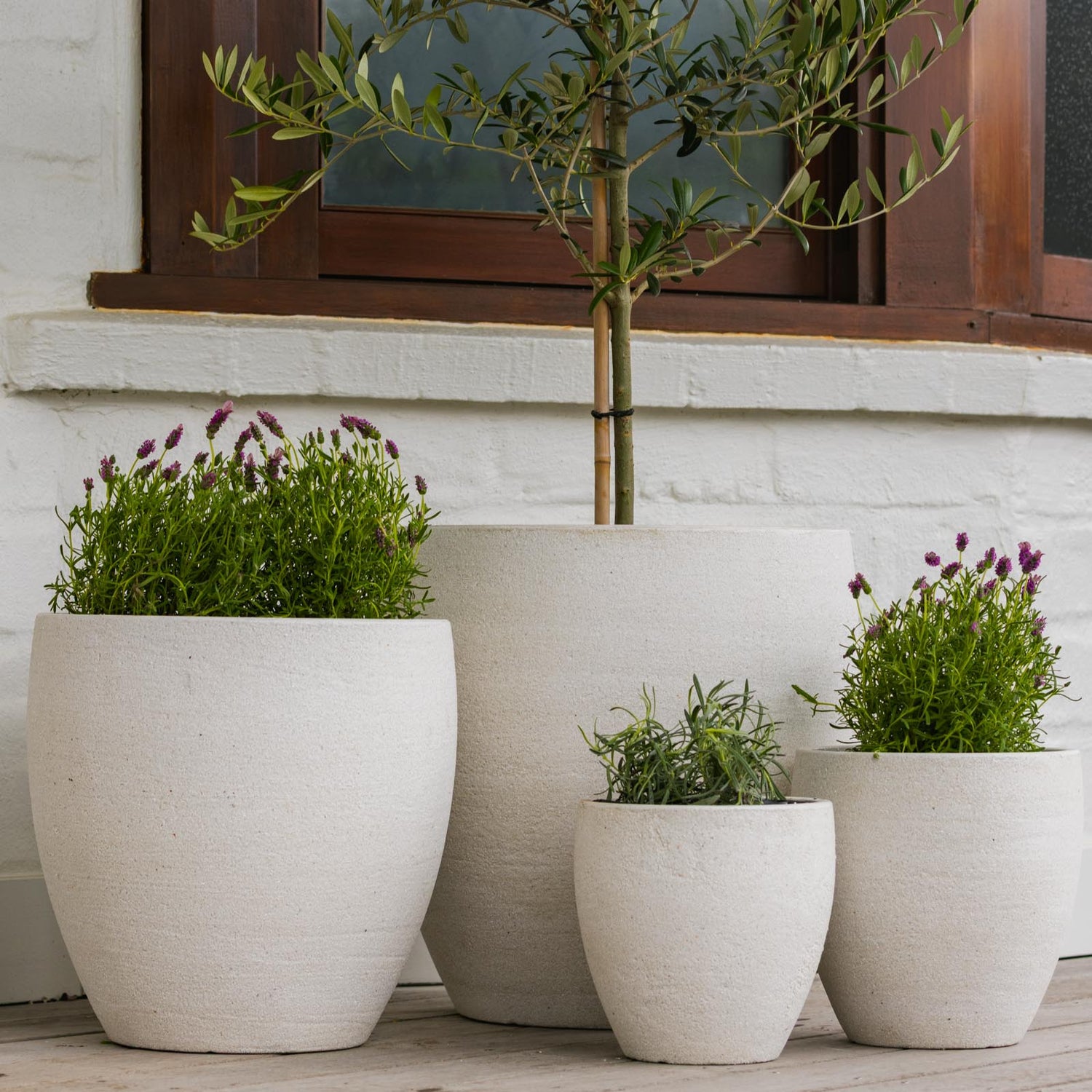 Montague Egg Pot