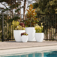 Montague Egg Pot