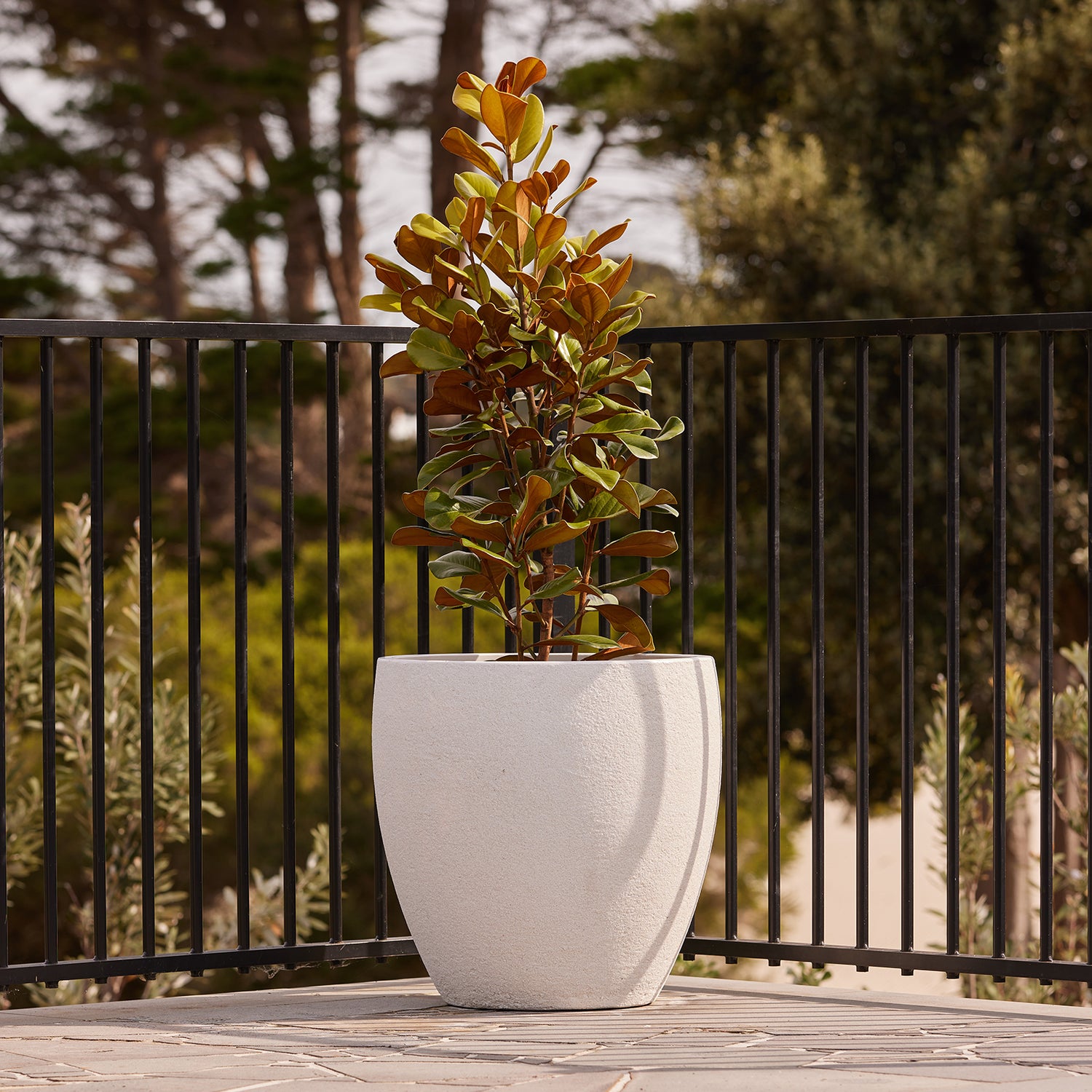 Montague Egg Pot β Northcote Pottery
