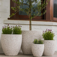 Montague Egg Pot