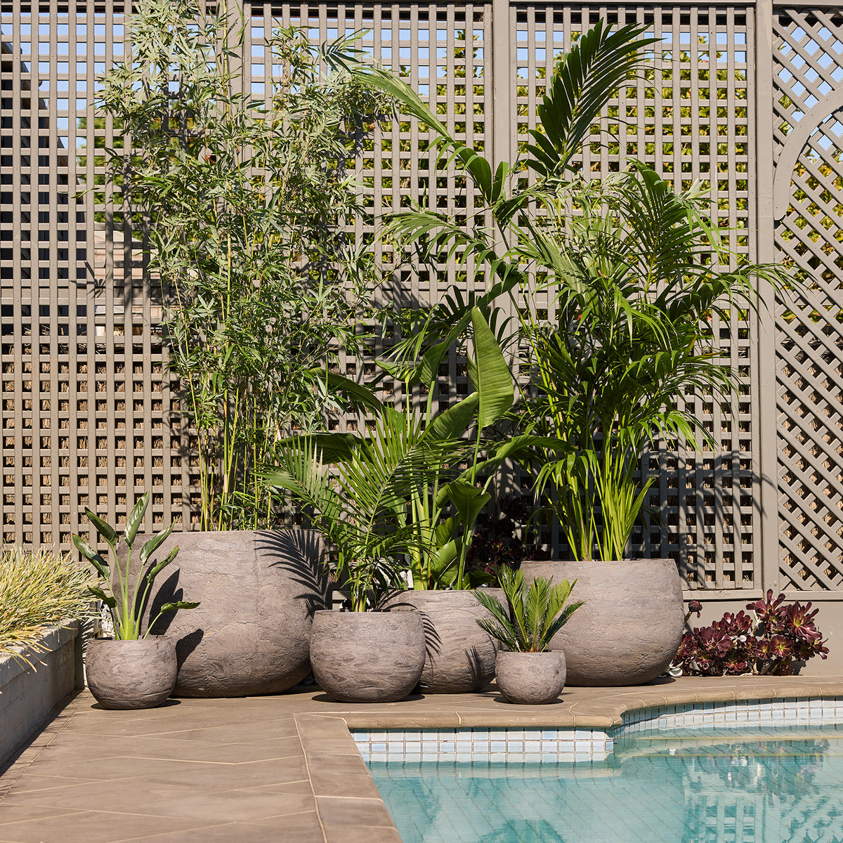 mega collections plant pots Mega Belly Pot – Northcote Pottery