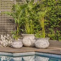 Triton Belly Pot