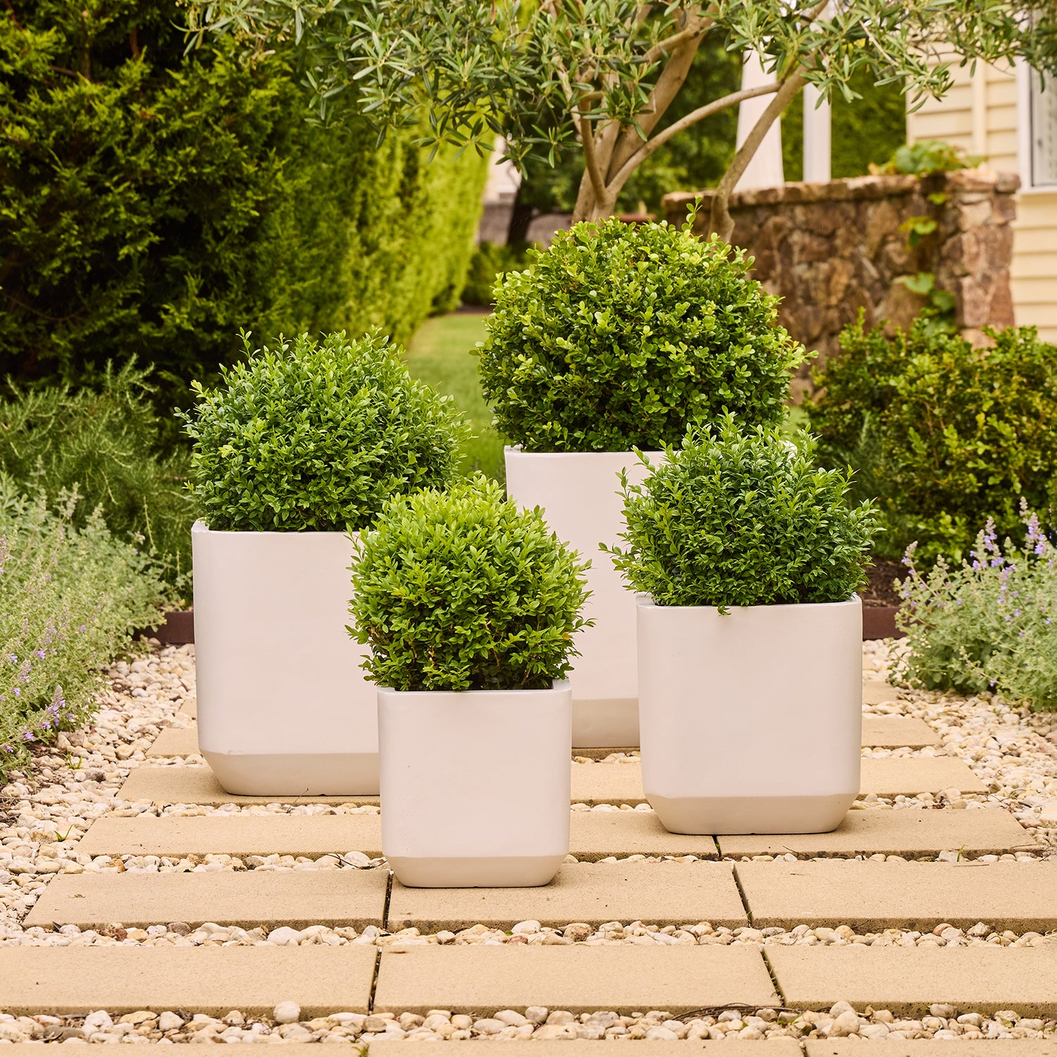 Grayson Square Pot