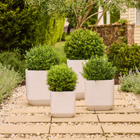 Grayson Square Pot