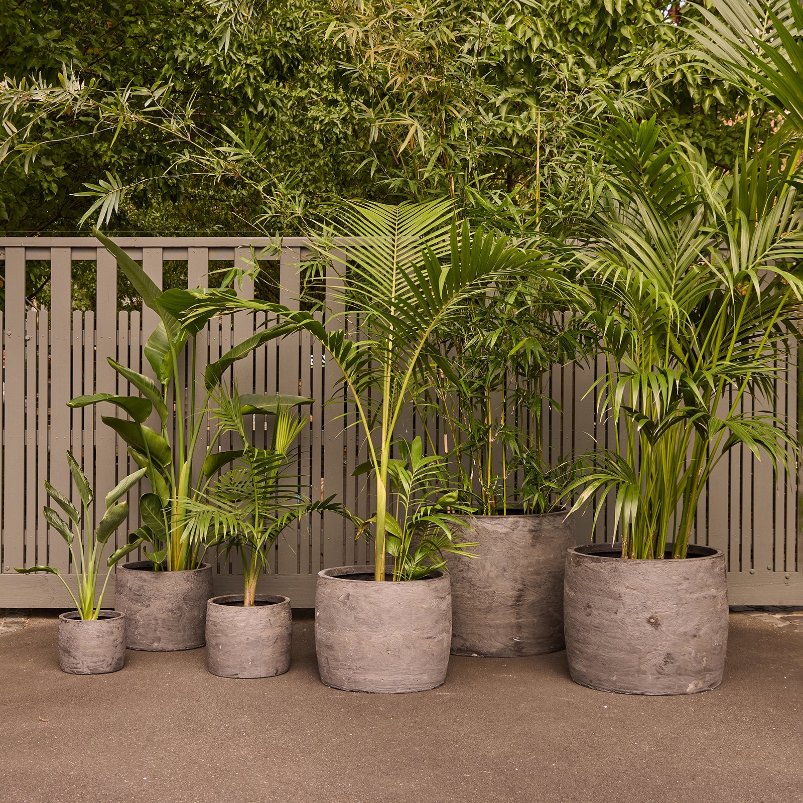 cylinder pot plant Storm XL Cylinder Pot – Northcote Pottery