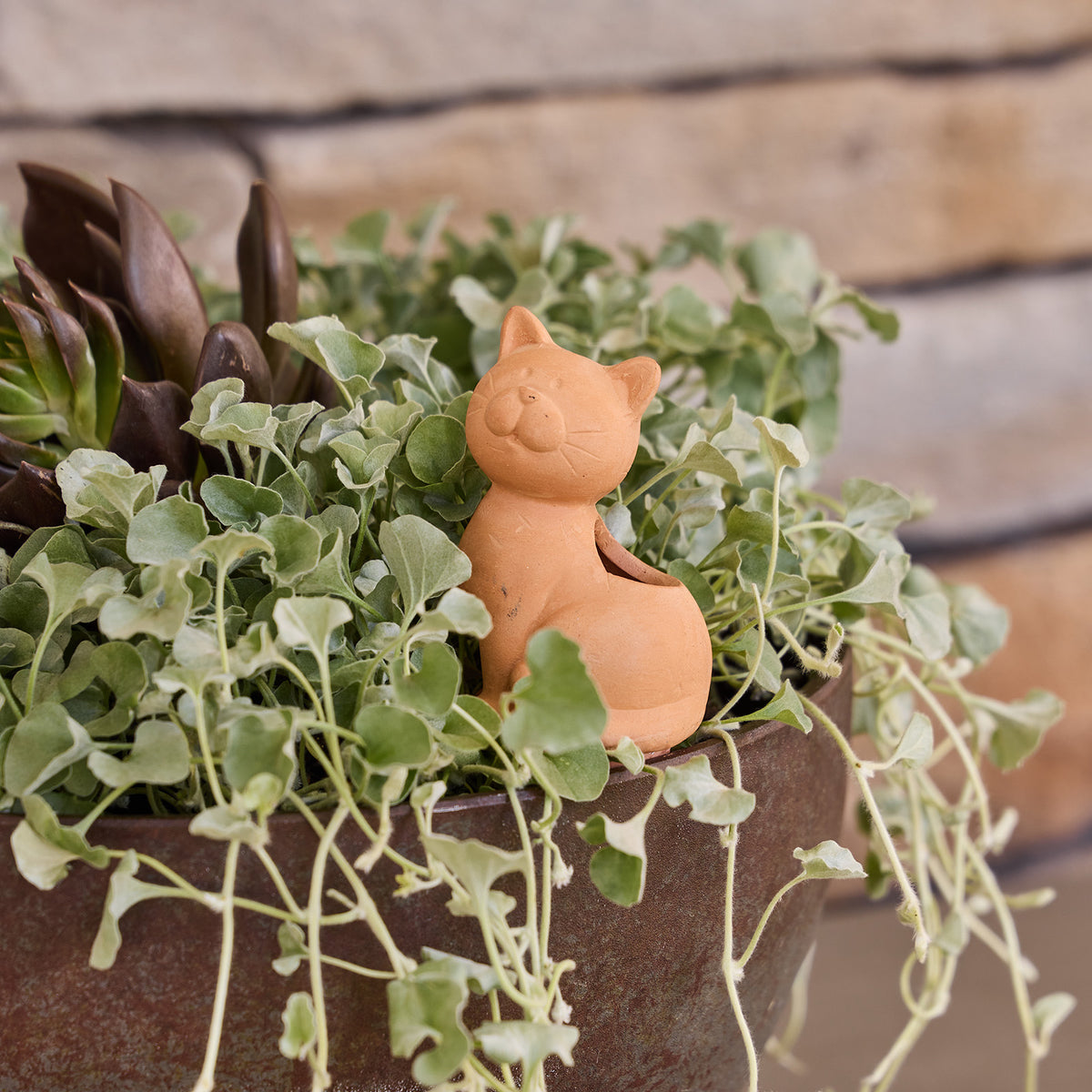 cat self watering planter Terracotta Cat Self-Watering Garden Pot Reservoir Stake – Northcote Pottery