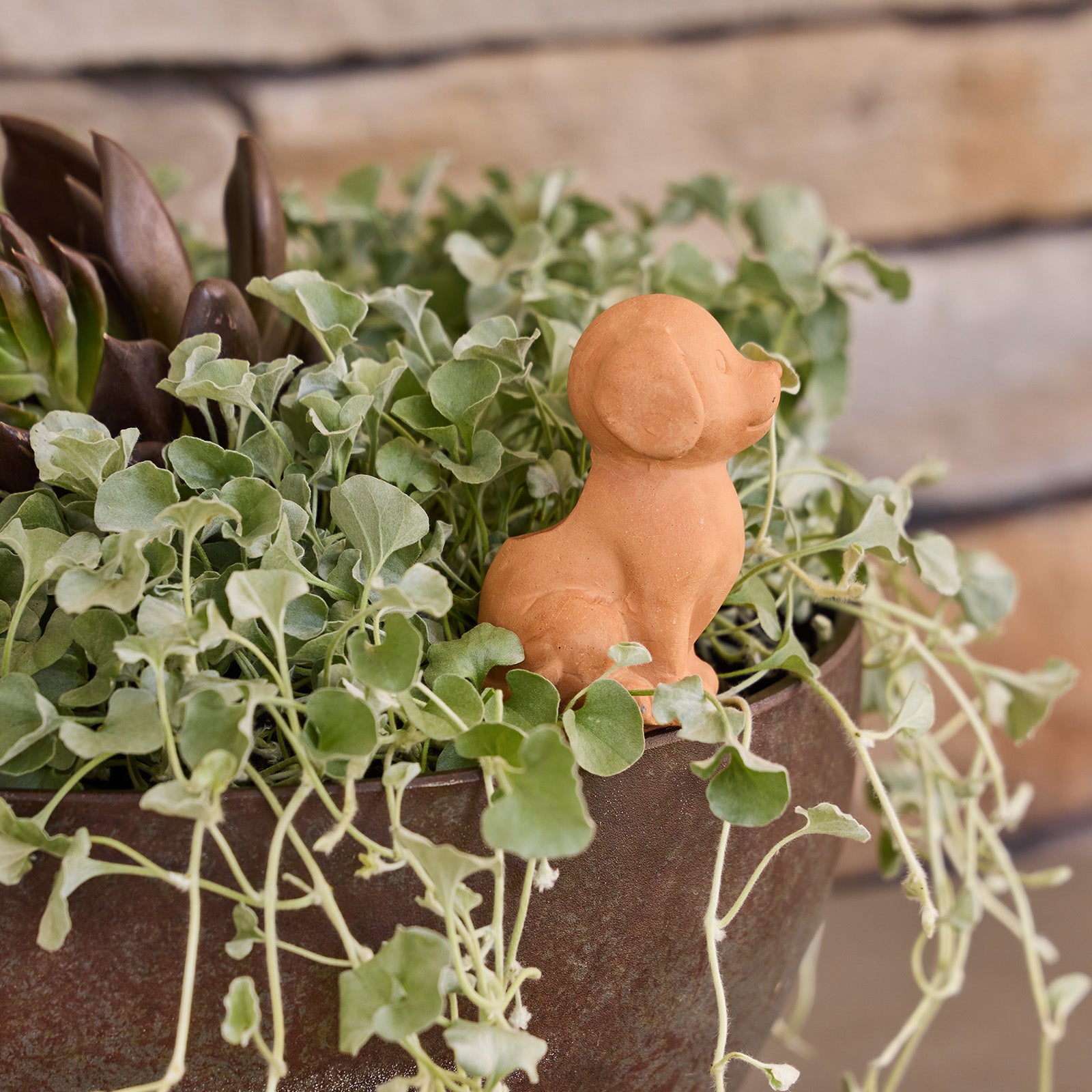 animal self watering plant pot Terracotta Dog Self-Watering Garden Pot Reservoir Stake – Northcote Pottery