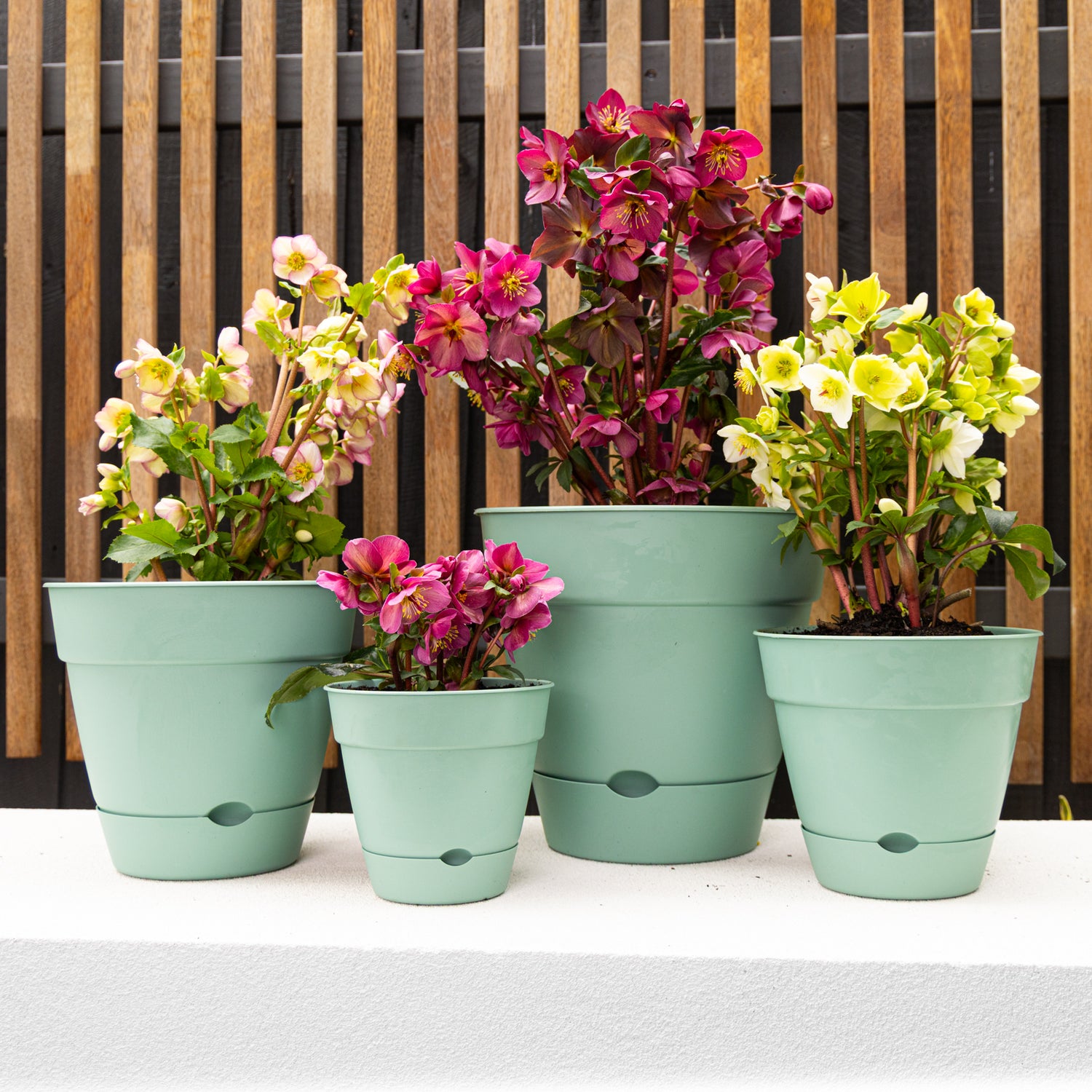 Leonard Self-Watering Round Pot