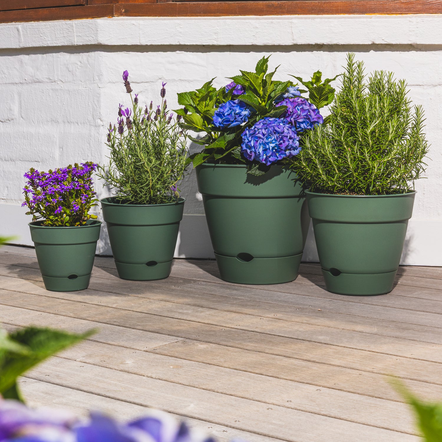 Leonard Self-Watering Round Pot