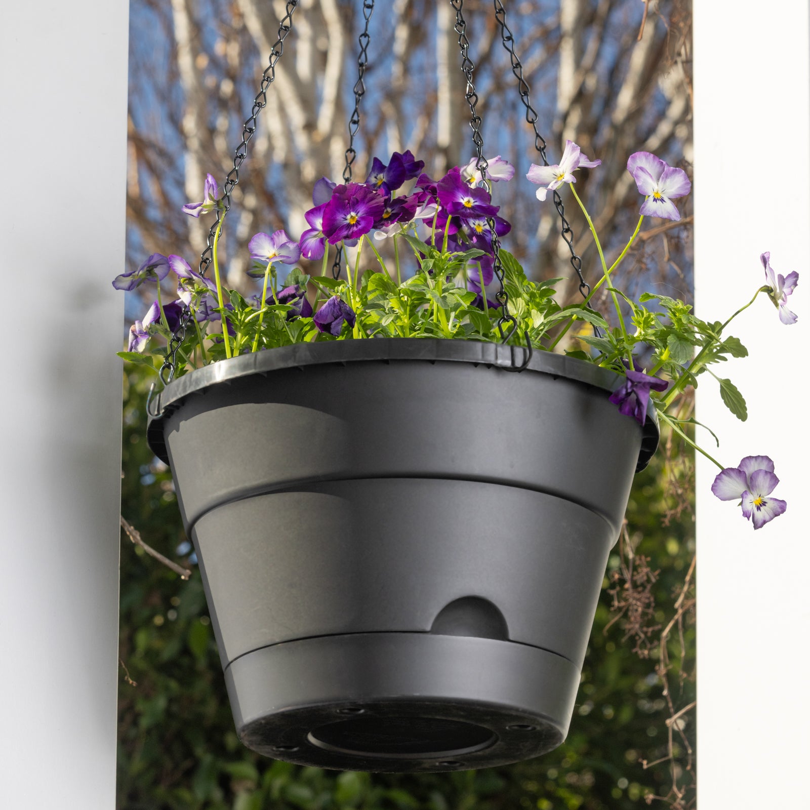 plant hanging basket that has water level indicator diy indoor Leonard Self-Watering Hanging Basket – Northcote Pottery
