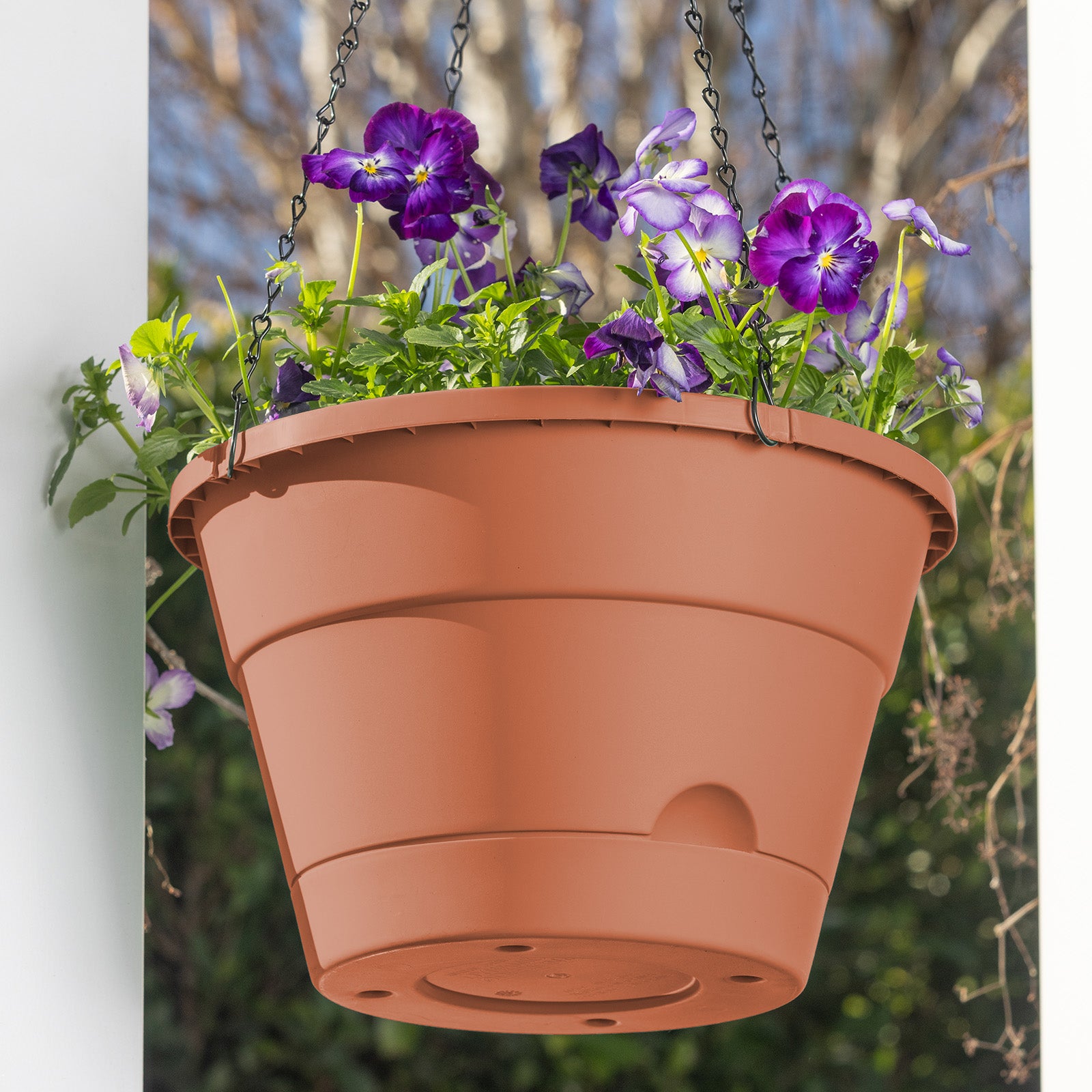 self watering hanging plant pots Leonard Self-Watering Hanging Basket – Northcote Pottery
