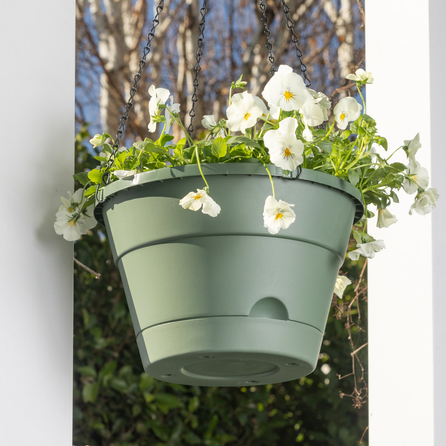 Leonard Self-Watering Hanging Basket