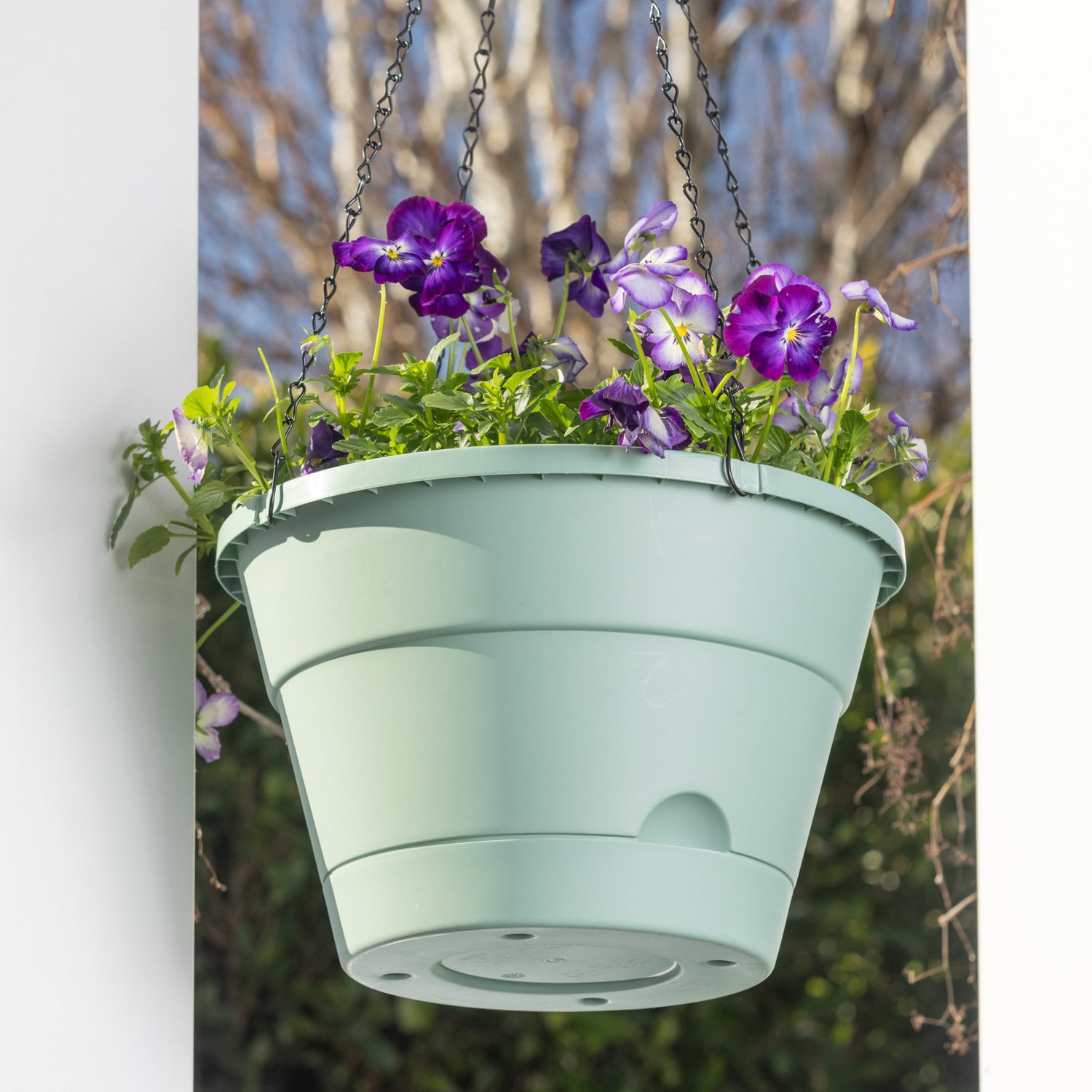 Leonard Self-Watering Hanging Basket